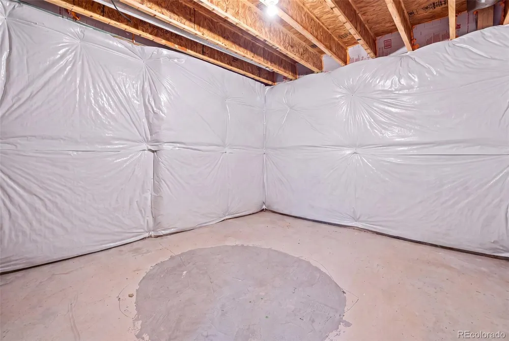 1218 Muskox Street Severance, CO 80550