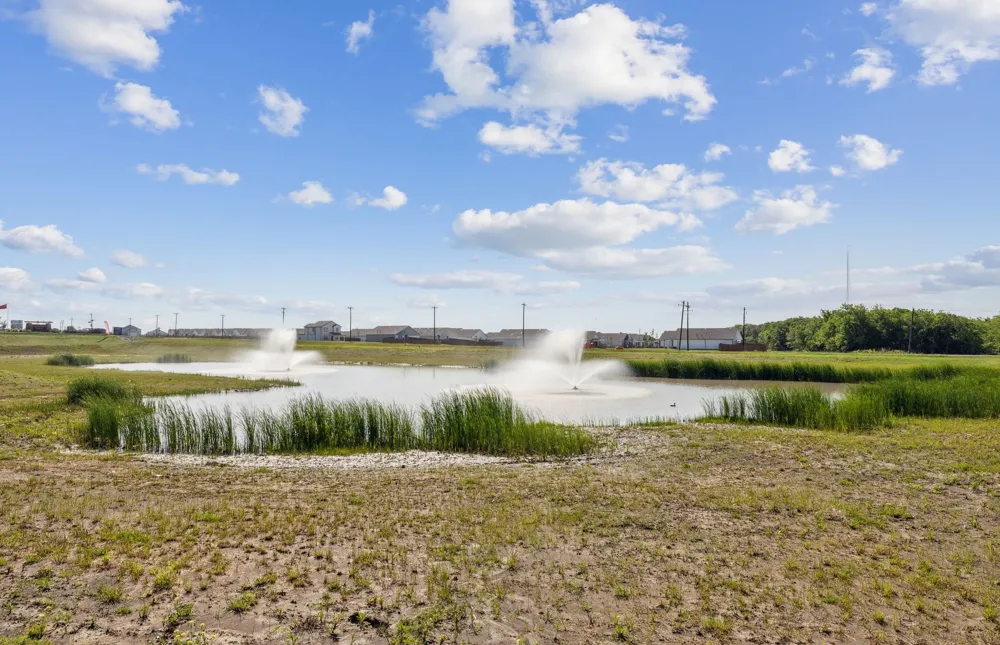 2451 Arbutus Drive Forney, TX 75126