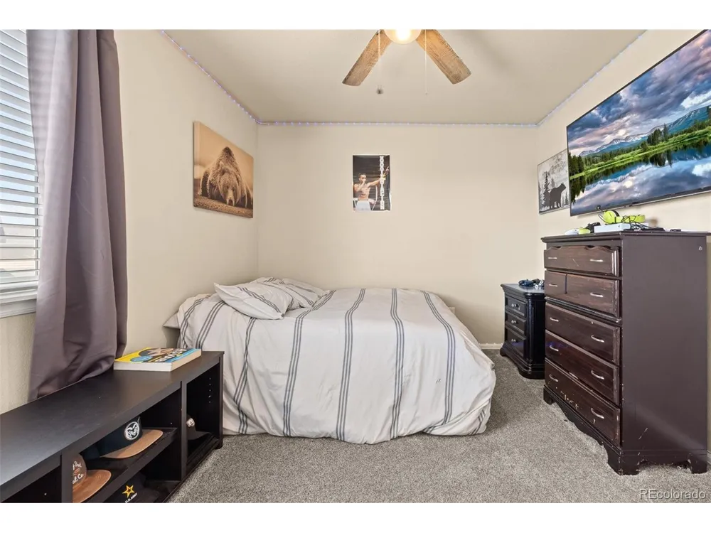 1218 Muskox Street Severance, CO 80550