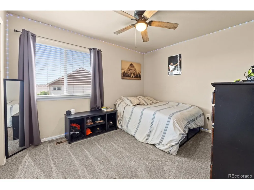 1218 Muskox Street Severance, CO 80550