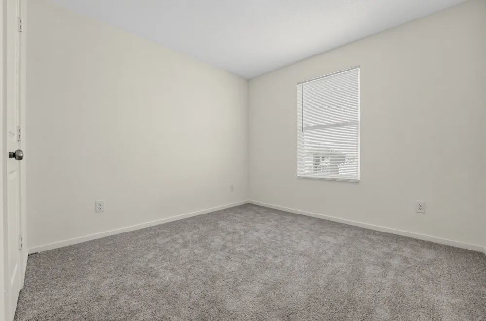 511 Jones Beach Drive Jarrell, TX 76537