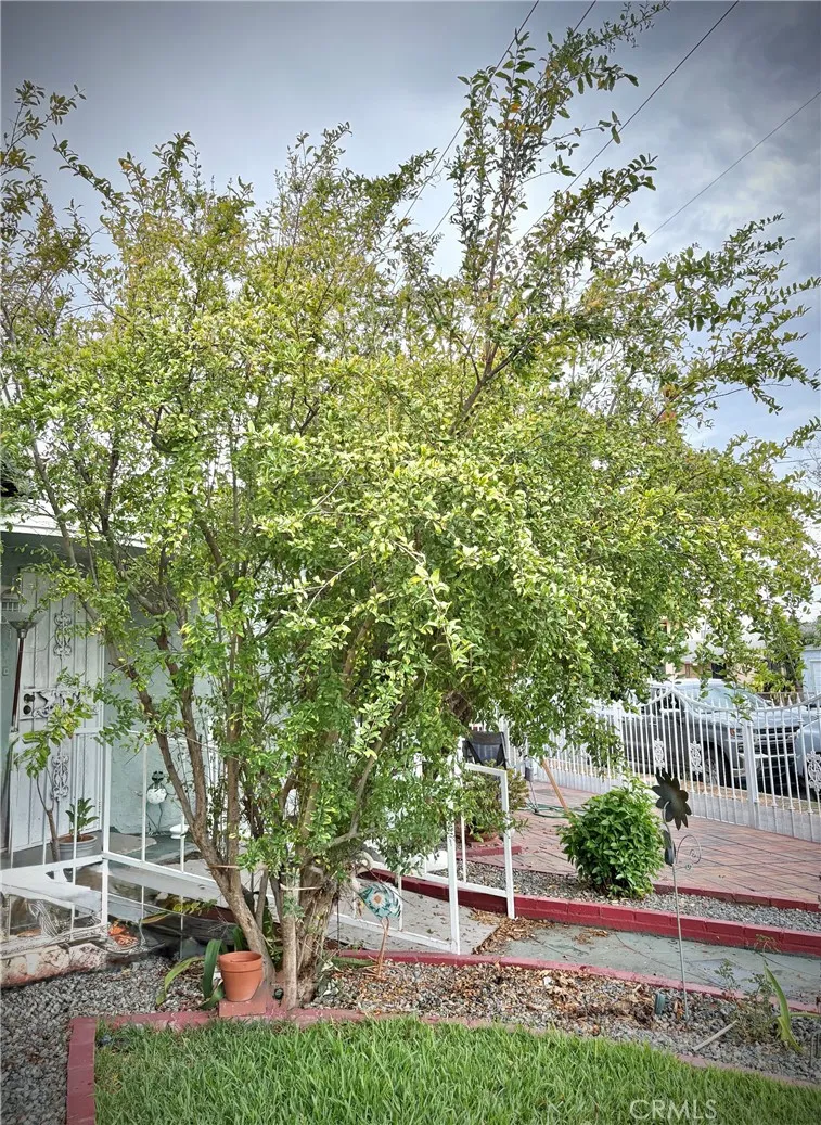 3929 E 56th Street Maywood, CA 90270