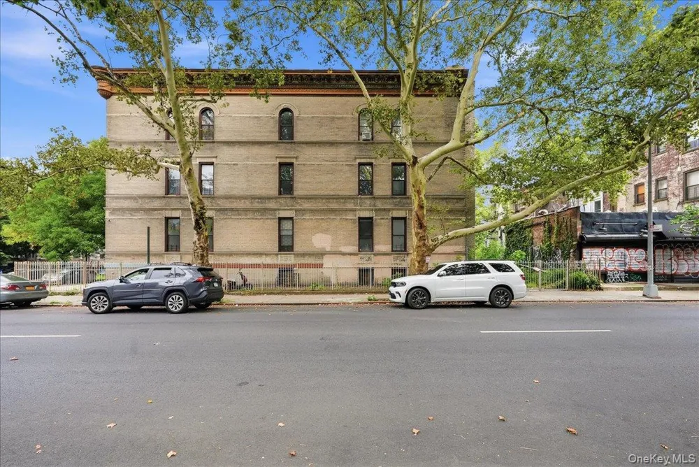 654 Mac Donough Street Brooklyn, NY 11233