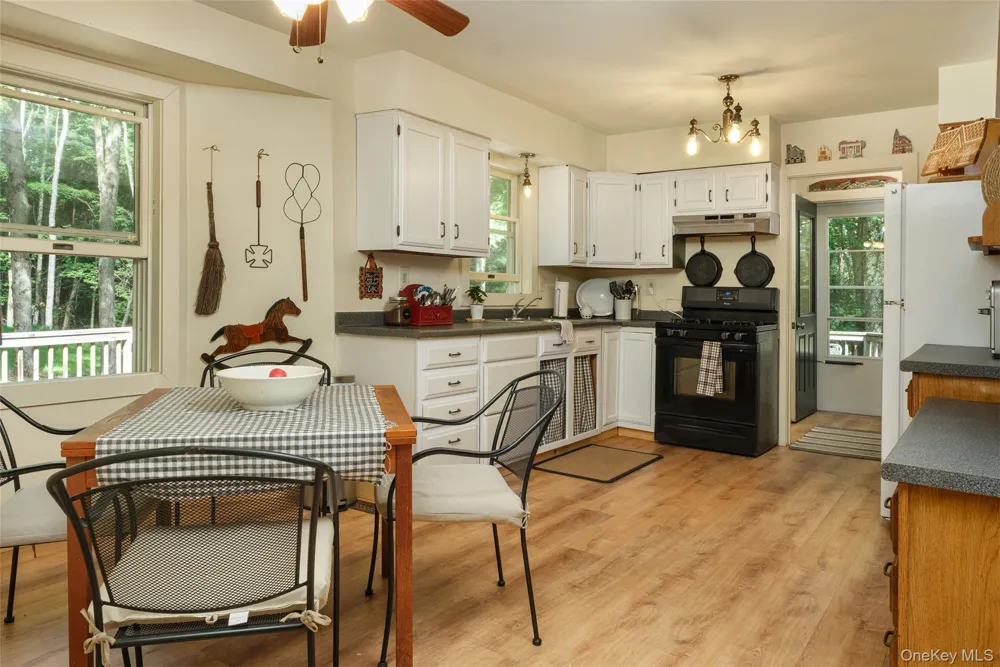 715 Rosa Circle Delhi, NY 13753