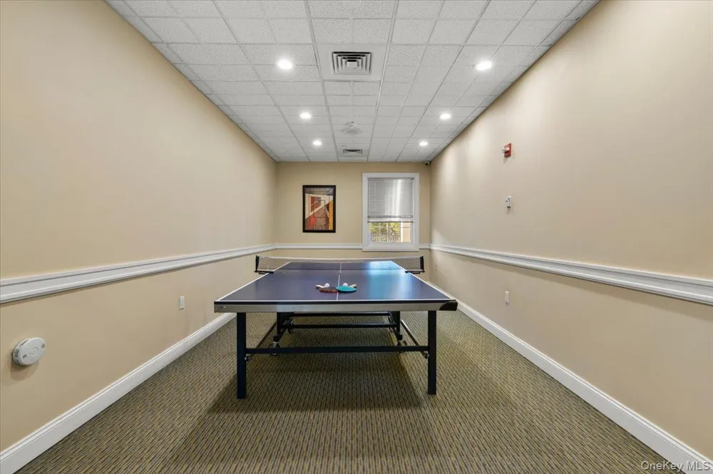 238 Harbor View Drive #238 Port Washington, NY 11050
