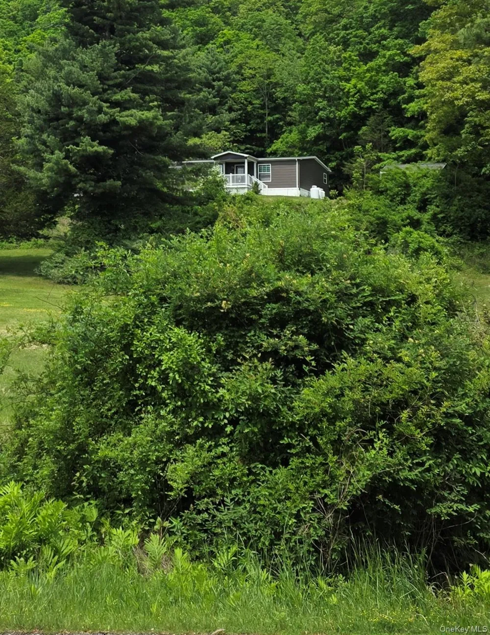 559 Lake Road Pine Plains, NY 12567