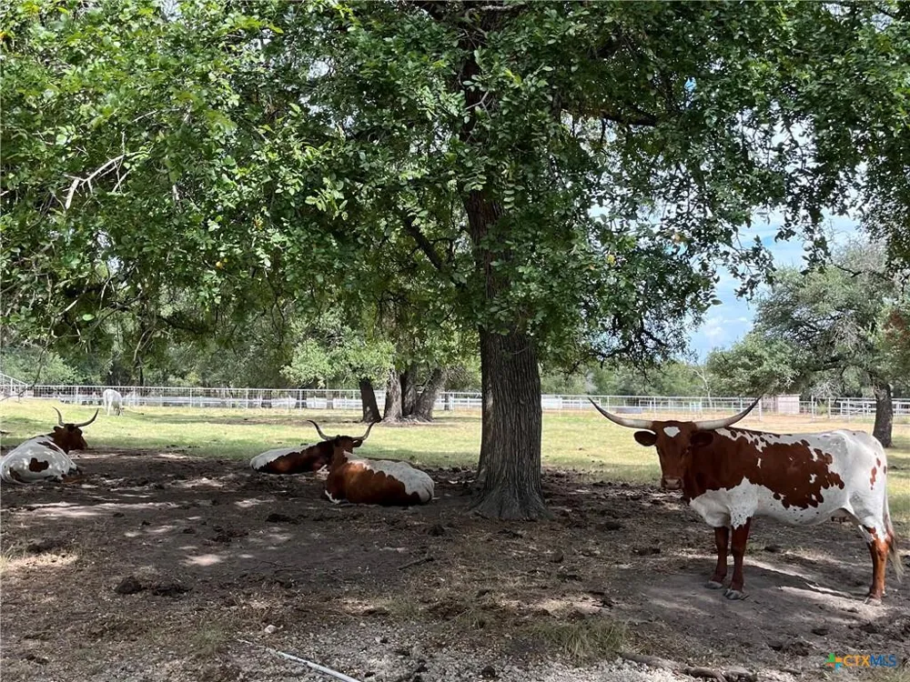 4009 Highway 183 Lampasas, TX 76550