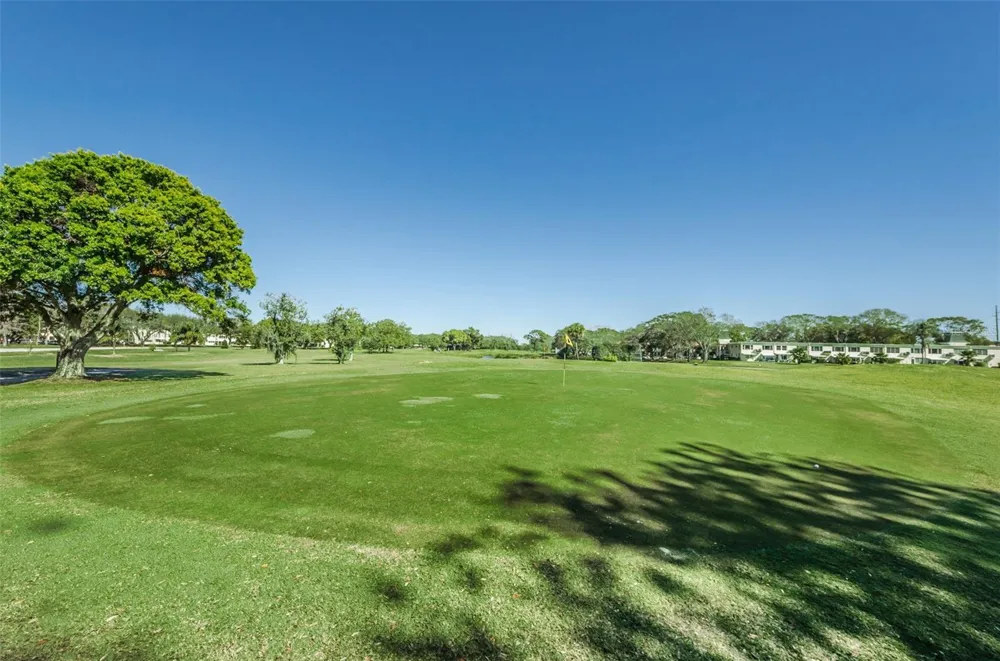 2431 FRANCISCAN DRIVE #53 Clearwater, FL 33763