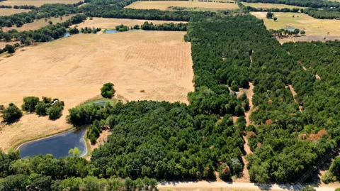 2460 County Road 1220