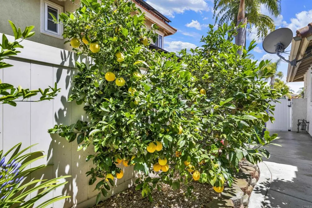 5179 Via Mindanao Oceanside, CA 92057