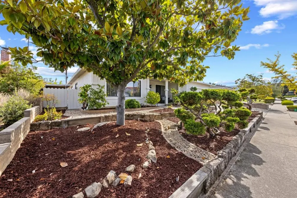 21446 Holly Oak Drive Cupertino, CA 95014