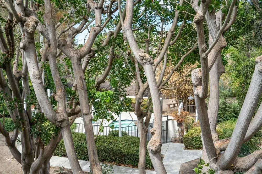 9760 Mesa Springs #40 San Diego, CA 92126