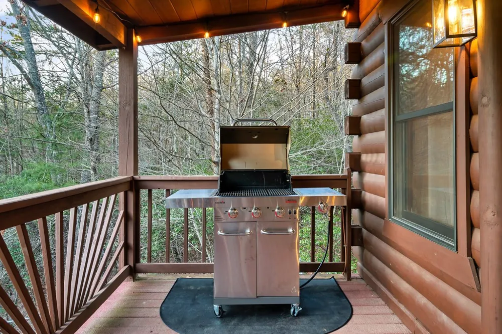 239 Ernest Alta Circle Blue Ridge, GA 30513