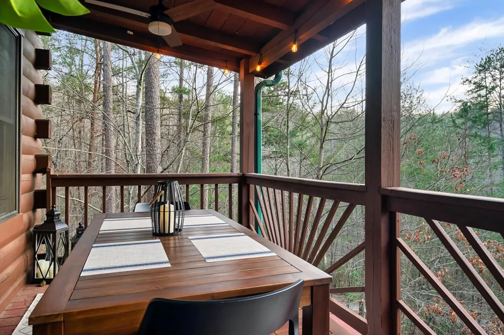 239 Ernest Alta Circle Blue Ridge, GA 30513