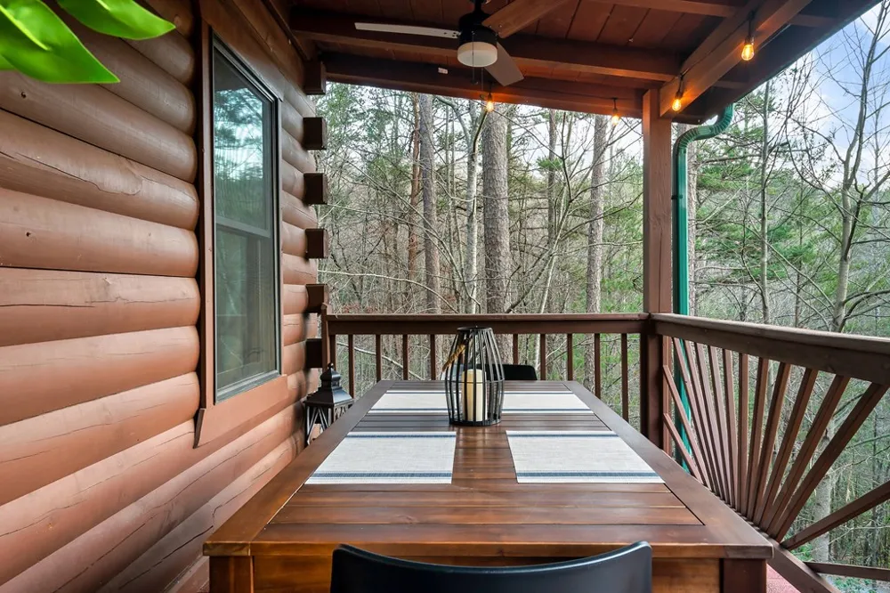 239 Ernest Alta Circle Blue Ridge, GA 30513