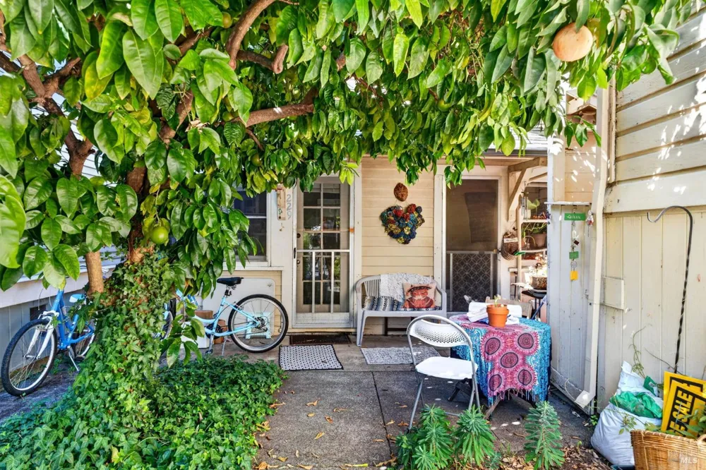 220 Matheson Street Healdsburg, CA 95448