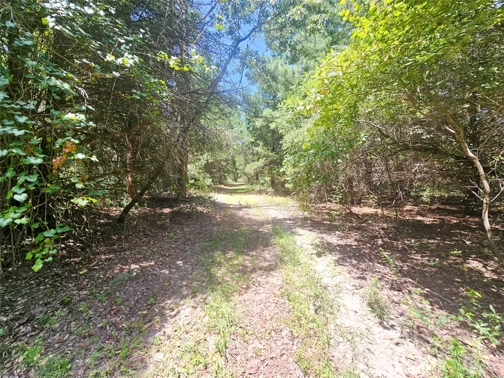 1115 County Road 3160 Quitman, TX 75783