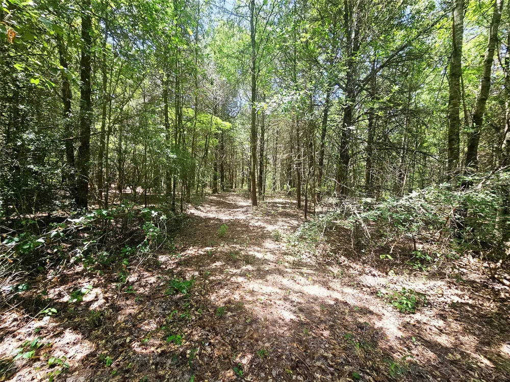 1115 County Road 3160 Quitman, TX 75783