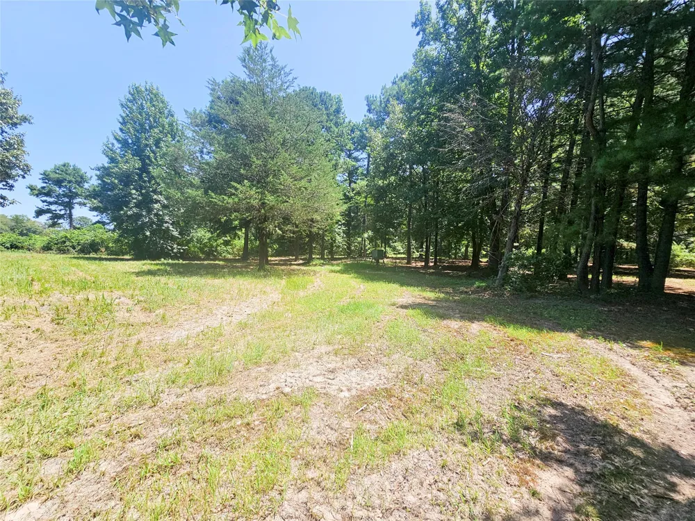 1115 County Road 3160 Quitman, TX 75783