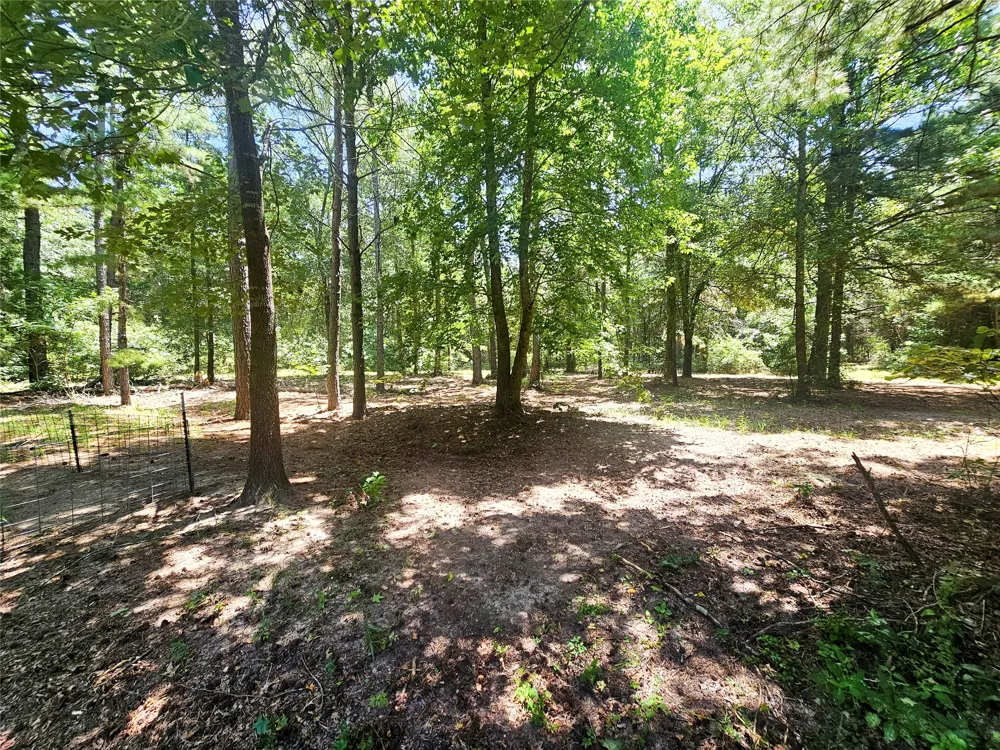 1115 County Road 3160 Quitman, TX 75783