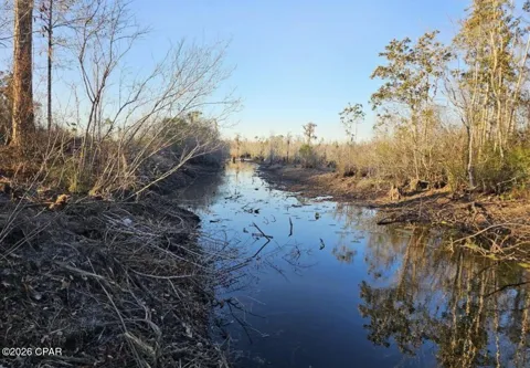 Morganville Road