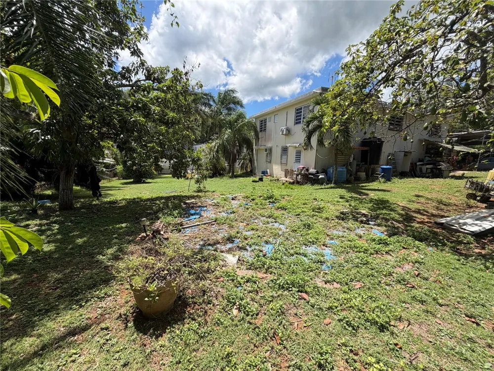 Carr 149 KM 3.5 Int BO. RIO ARRIBA SALIENTE Manati, PR 00674