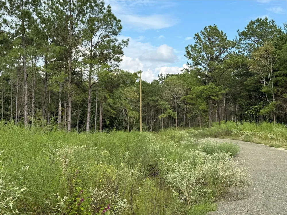 219 County Road 4872 Timpson, TX 75975