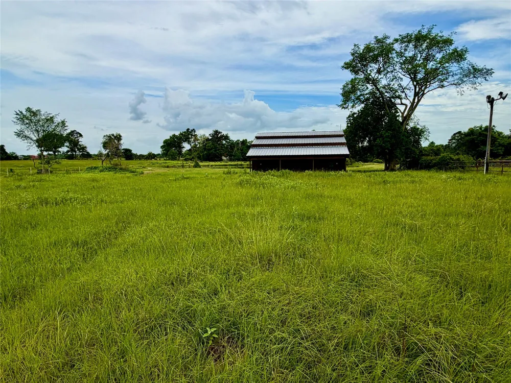 26534 Mitchel Road Hempstead, TX 77445