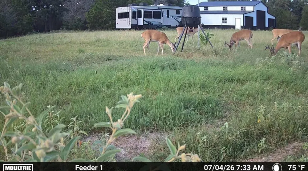 4241 County Road 415 Somerville, TX 77879