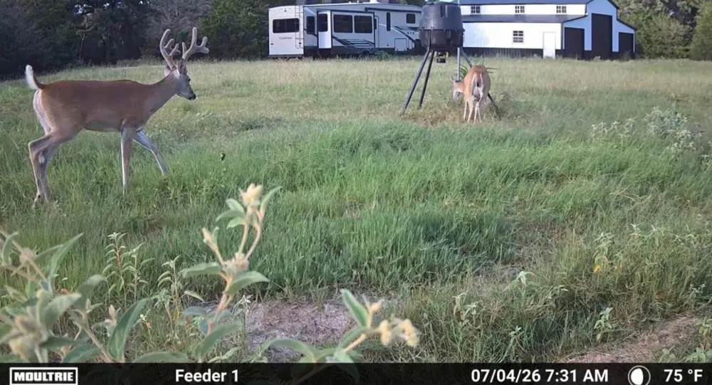 4241 County Road 415 Somerville, TX 77879