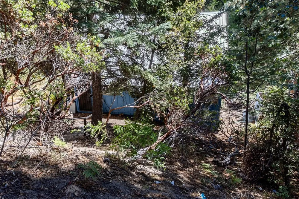 5895 Robin Oak Angelus Oaks, CA 92305