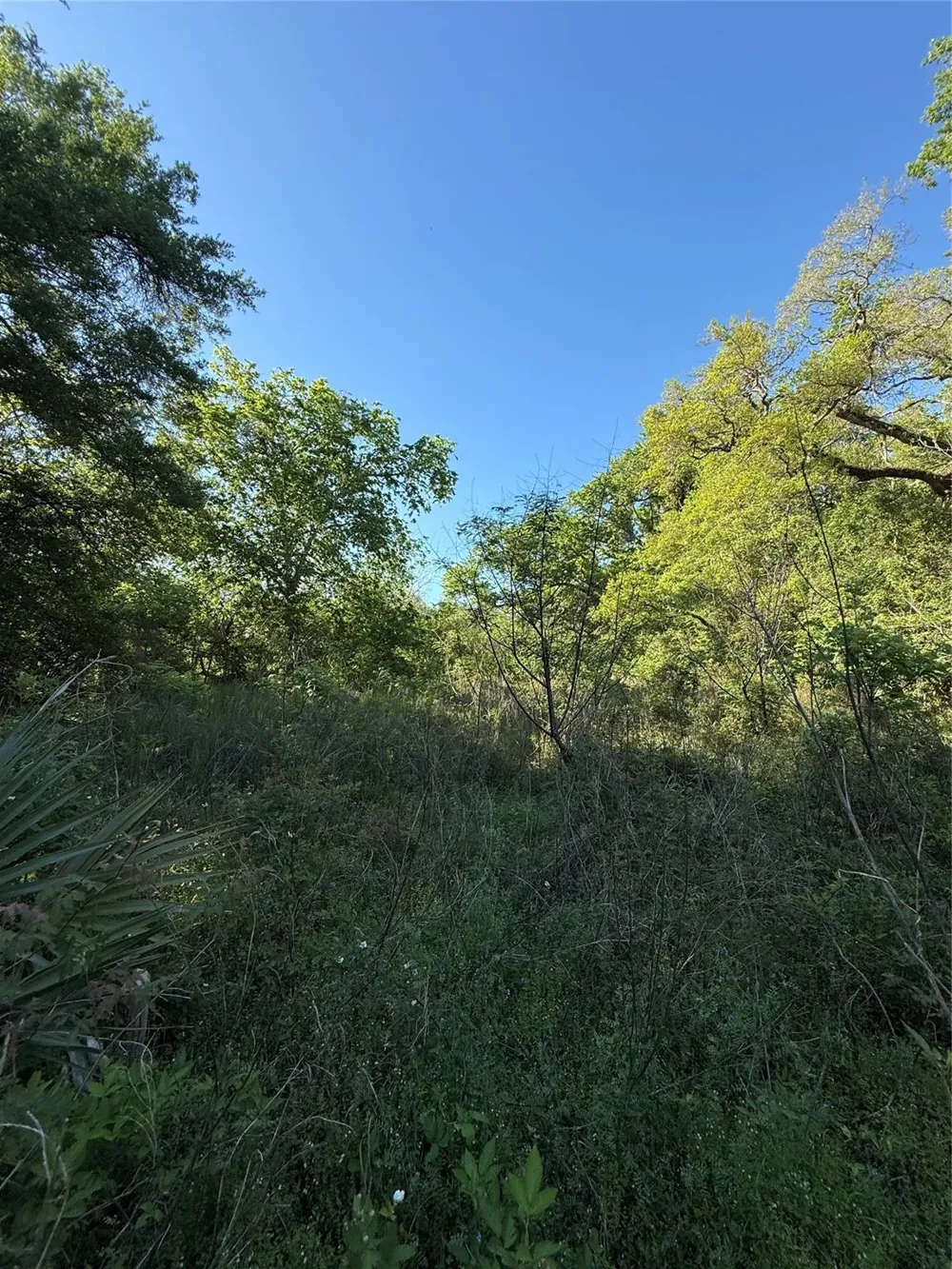 25 Ramblewood Road Sargent, TX 77414