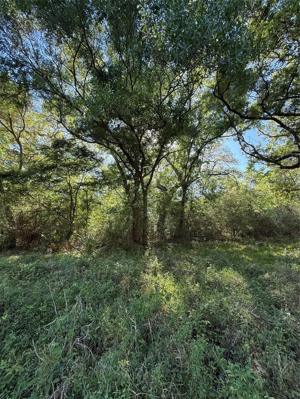 25 Ramblewood Road Sargent, TX 77414