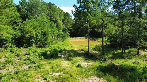 141 County Road 4872