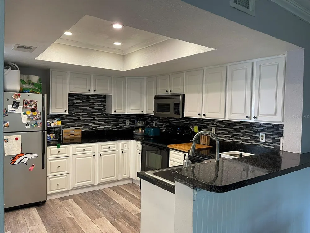 13001 ARBORVIEW PLACE Tampa, FL 33618