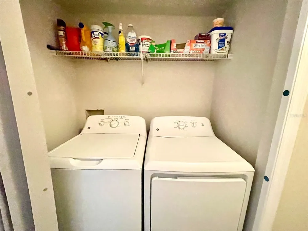 13001 ARBORVIEW PLACE Tampa, FL 33618