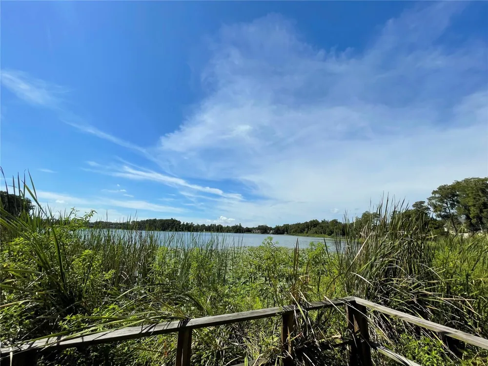 13001 ARBORVIEW PLACE Tampa, FL 33618
