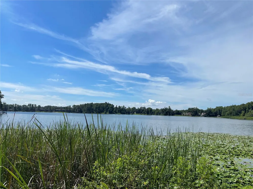 13001 ARBORVIEW PLACE Tampa, FL 33618