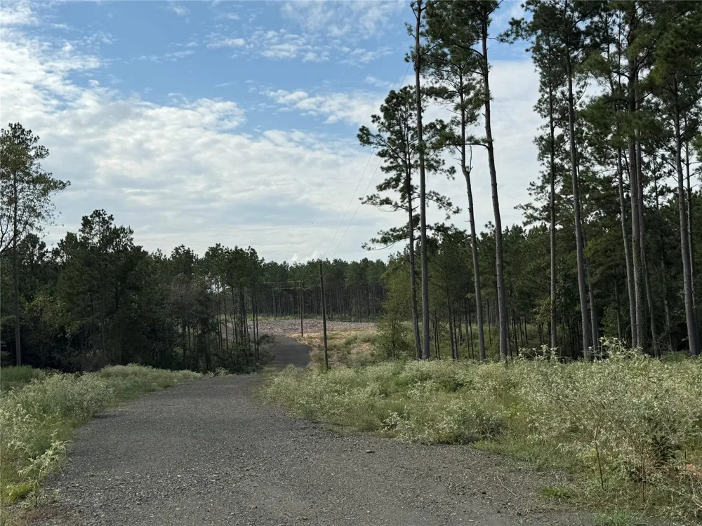 214 County Road 4872 Timpson, TX 75975