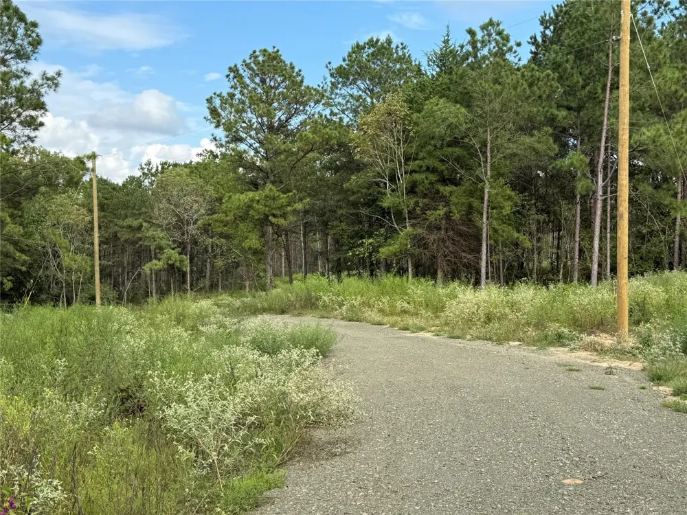 214 County Road 4872 Timpson, TX 75975