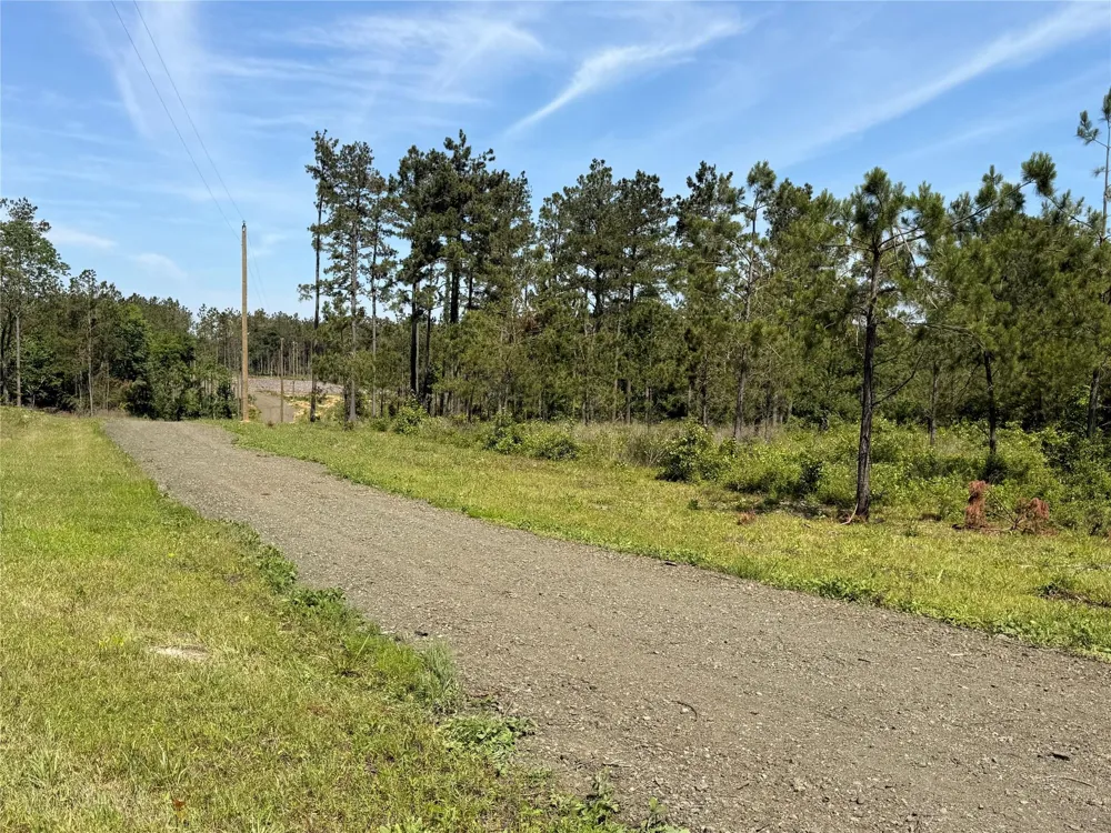 214 County Road 4872 Timpson, TX 75975