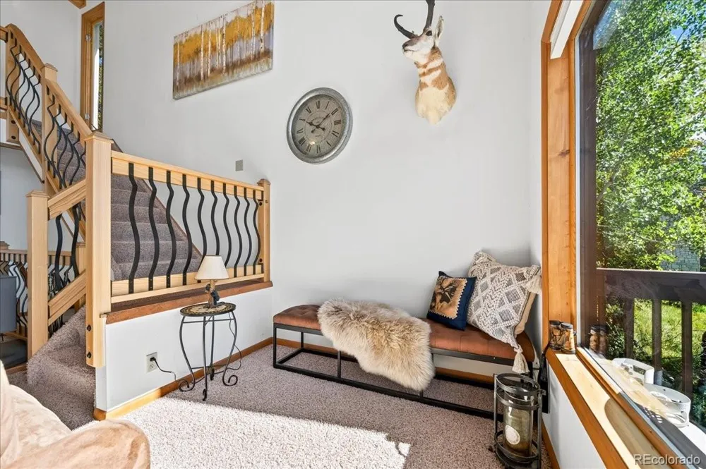 963 GCR 494 Grand Lake, CO 80447