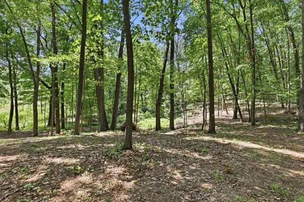 1450 Payne Lake Road Middleville, MI 49333
