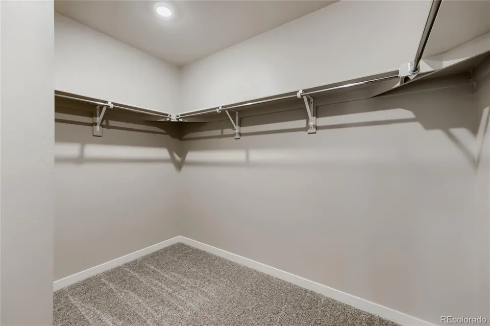 13749 Daffodil Point Parker, CO 80134