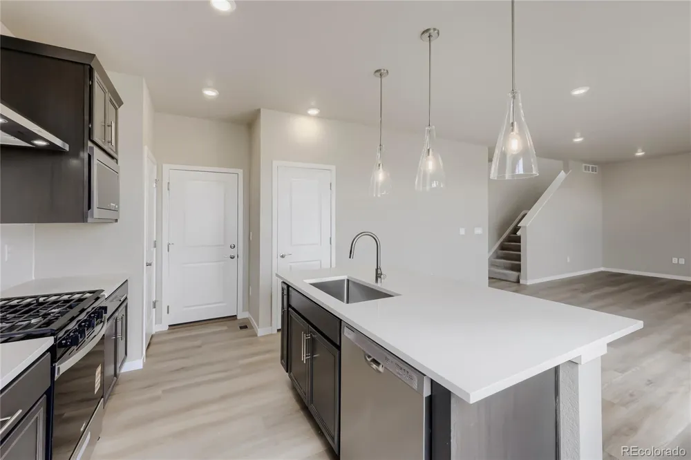 13749 Daffodil Point Parker, CO 80134