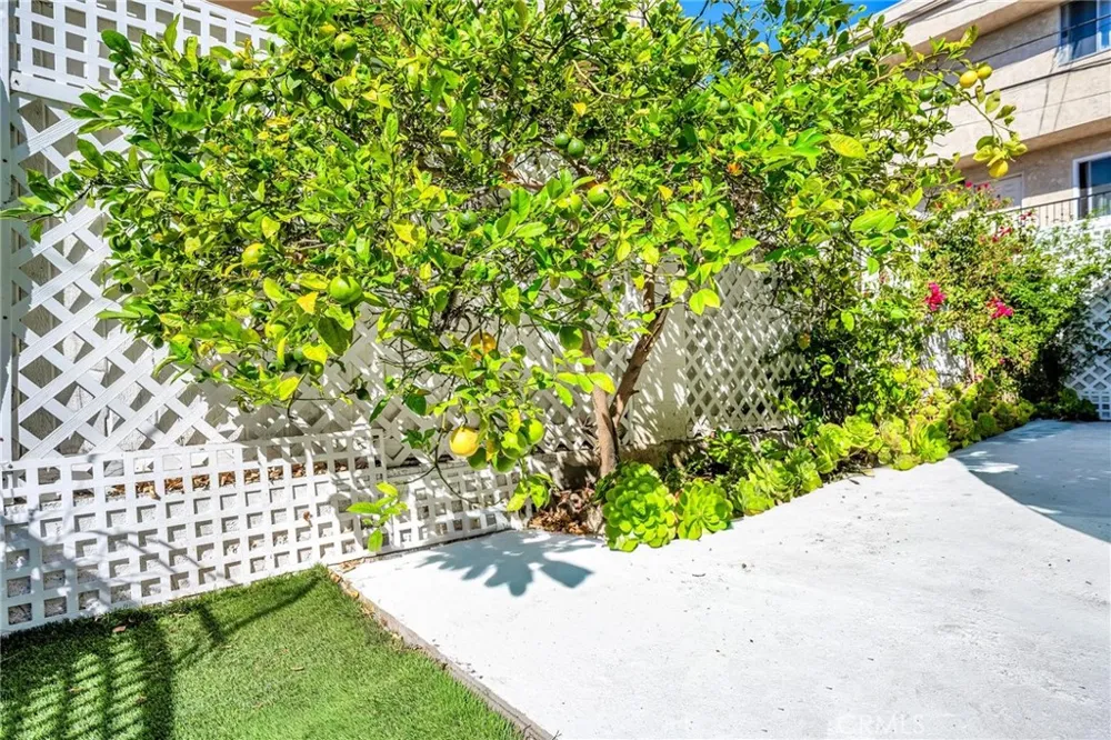 501 Ave B #C Redondo Beach, CA 90277
