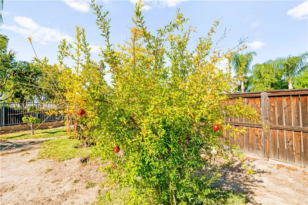 1721 Caseros San Jacinto, CA 92582