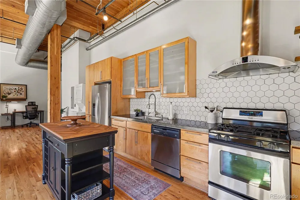 2955 Inca Street #2P Denver, CO 80202