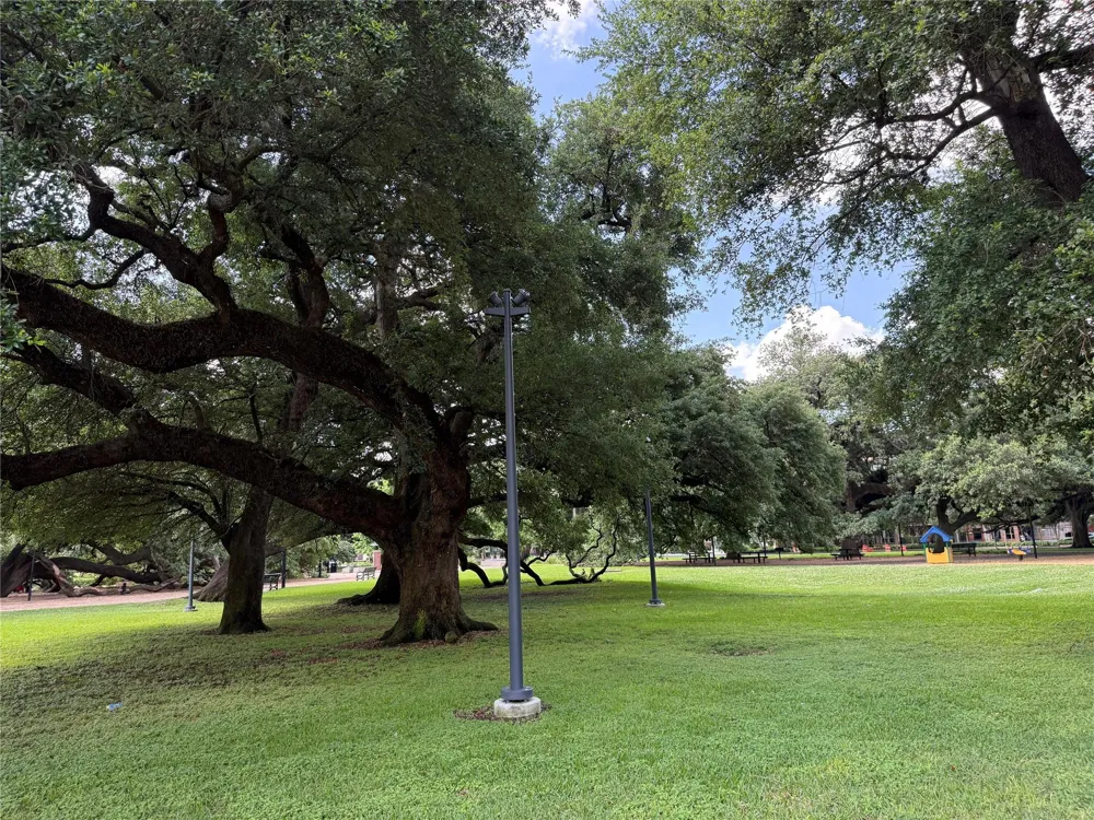 3218 Jackson Street Houston, TX 77004
