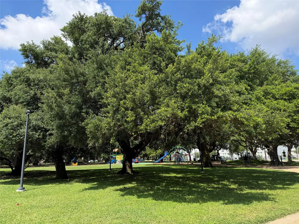 3218 Jackson Street Houston, TX 77004